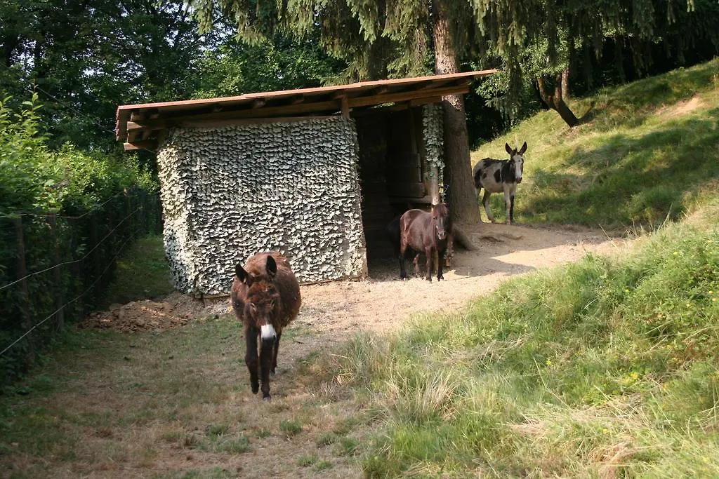 ברגמו B&B La Casa Di Campagna